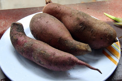 How To Freeze Mashed Sweet Potato