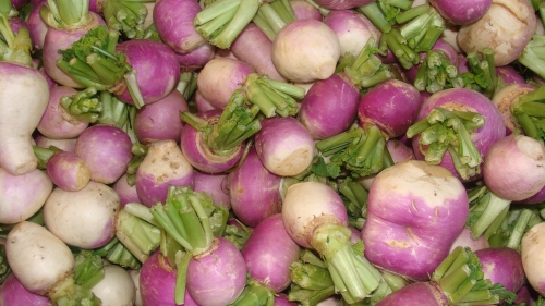 How To Freeze Mashed Turnip