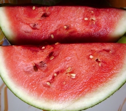 Health Effects Of Eating Rotten Watermelon