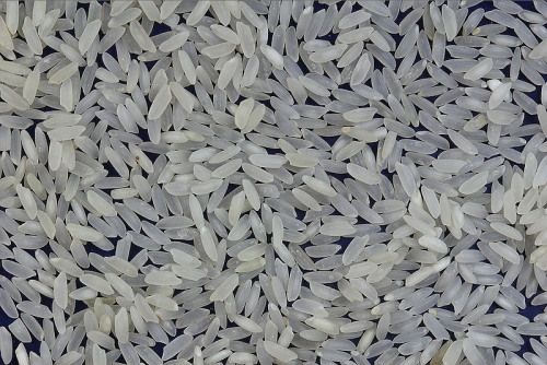How To Fight Rice Addiction