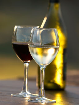 Swan Valley Wine Tour