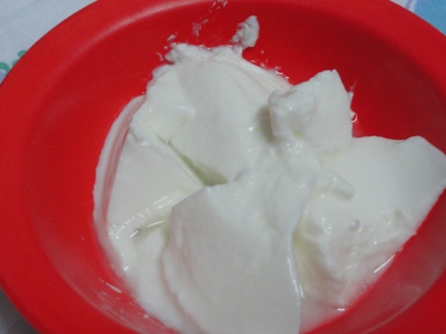 What Precautions Should You Take While Making Yogurt 