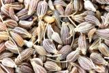 How To Make Anise Extract At Home