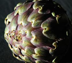 Artichoke Menu