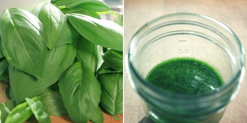 Basil Oil For Hair Care