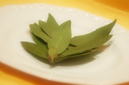 Bay Leaf Substitutes