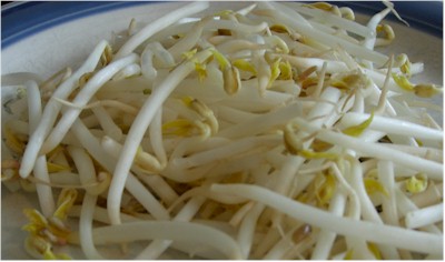 Health Benefits of Bean Sprouts