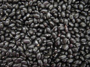 Health Benefits Of Black Beans