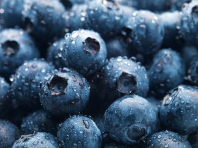 Blueberry Allergy-Causes, Symptoms, And Cure