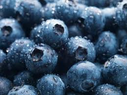 Blueberry Capsule Benefits