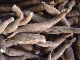 Is It Safe To Eat Tapioca In Case Of Allergies?