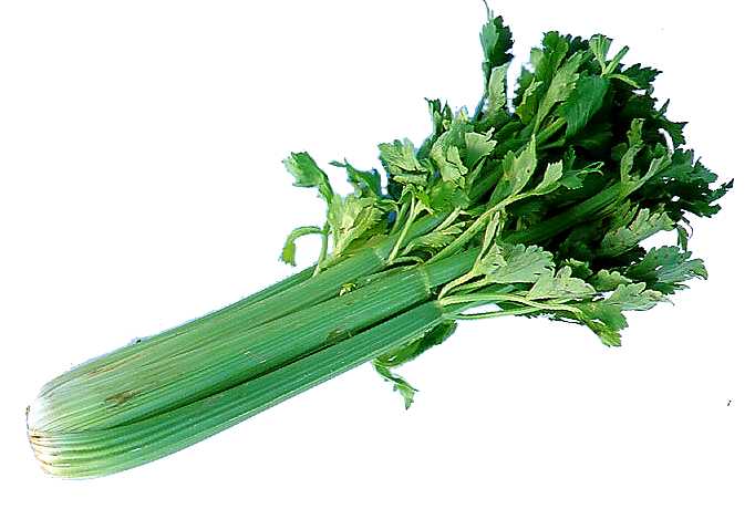 Why Men Should Eat More Celery?