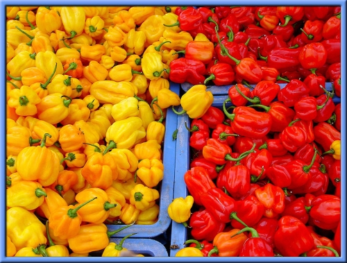 Chili Allergy-Causes, Symptoms, And Cure