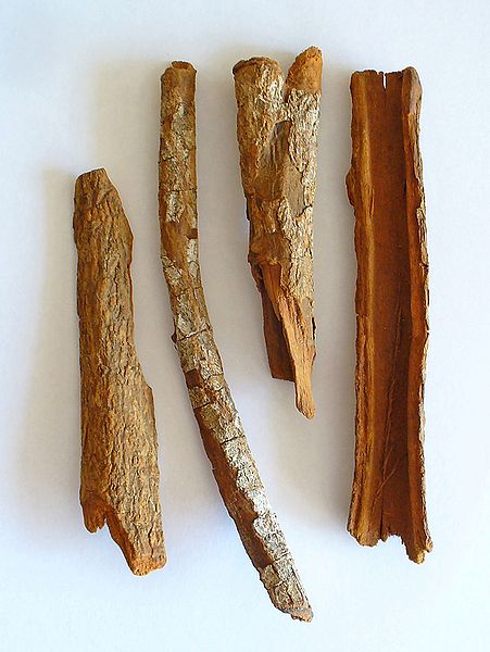 Herbal Remedies For Malaria.