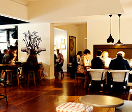 Top Restaurants In Melbourne