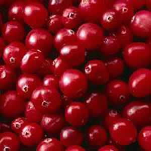 Is It Safe To Eat Cranberries During Pregnancy?