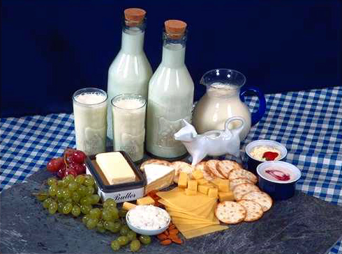 Top 10 Lactose Rich Foods For Children