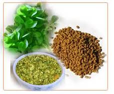 Herbs That Enhance Lactation