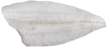 How To Fillet Flounder