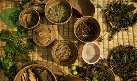 Herbal Remedies For Herpes
