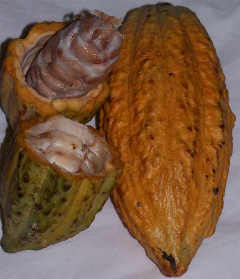 How Is Chocolate Made From Cacao Beans?
