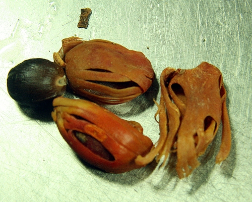 How To Eat Nutmeg?