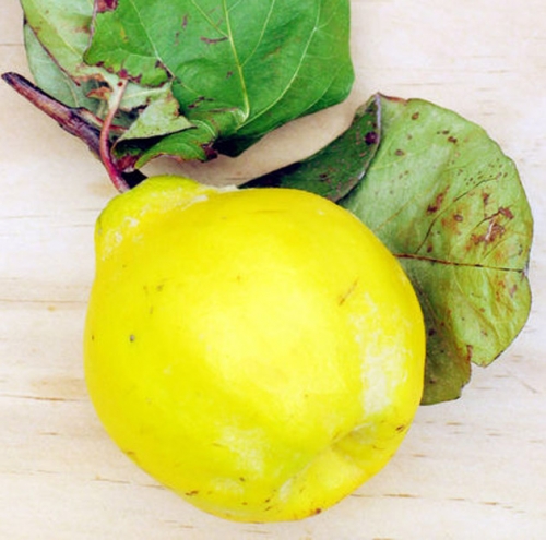 How To Eat Quince