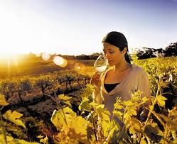 Australia Wine Tour
