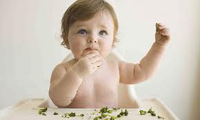 Finger Food Ideas For A 9-Month Old