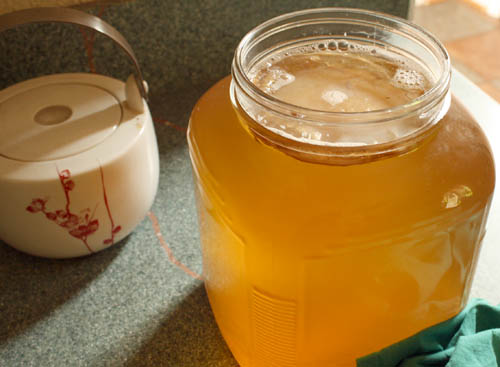 How To Use Probiotics For Psoriasis Treatment