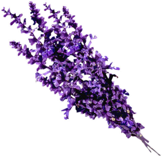 Lavender Menu