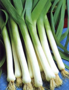 How to Grow Leeks