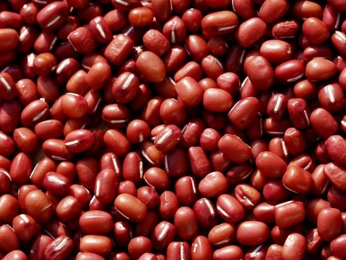 Legume Allergy-Causes, Symptoms, And Cure