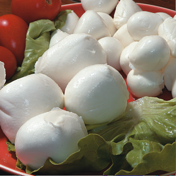 Cheese Mozzarella