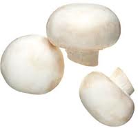 Mushroom Medicinal Uses