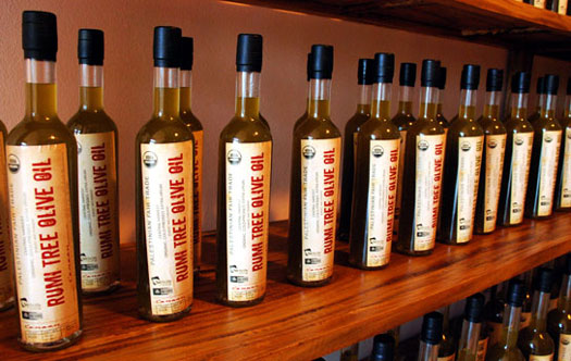 Veggie oilsThe good, The bad, and The Scary