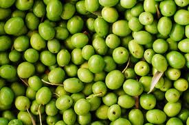 Olive Medicinal Uses