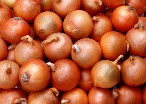 India Hits Onion Crisis With Sky-rocketing Prices