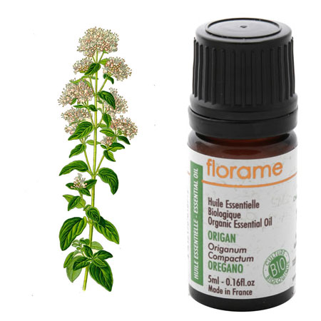 Use Oregano Oil To Fight Harmful Bacteria    