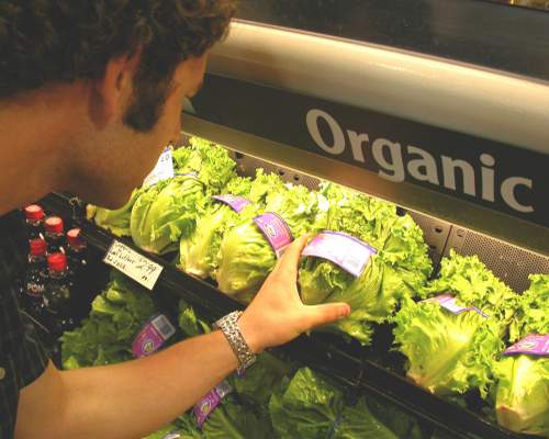 Organic Food - Can You Afford It?