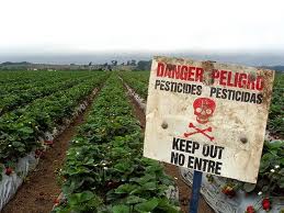 When You Should Choose Organic