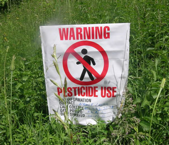 Pesticides Are Killing French Winegrowers
