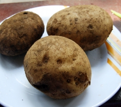 Potato Menu