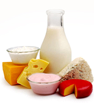 What are probiotics food?