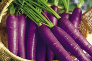 Discover The Health Benefits Of Eating Purple Carrots