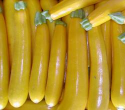 Health Effects Of Eating Rotten Zucchini
