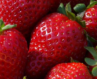 Strawberry Gene Code Cracked Finally