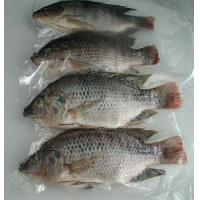 How To Fillet Tilapia