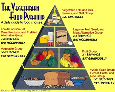 Will You Choose Vegetarian Diet Programs Or Something Else?
