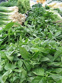 Herbal Remedies For Vertigo Treatment